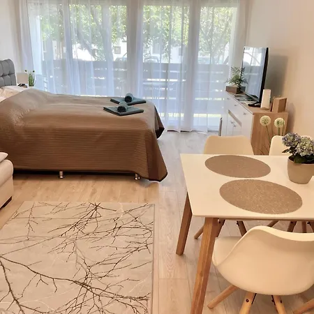 Bella Stella 巴拉顿菲赖德