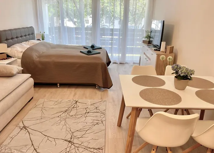 Bella Stella 블로톤퓌레드